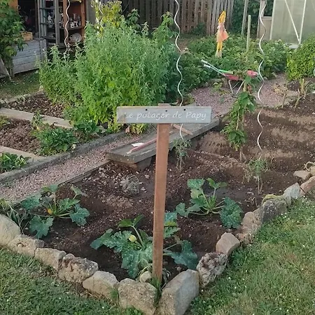 Les Lys Jolie Parentale Privative Deux Adultes Avec Sdd 3*