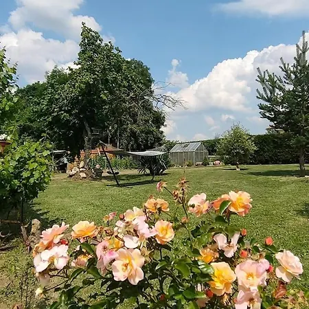 Les Lys Jolie Parentale Privative Deux Adultes Avec Sdd Guest house Pertheville-Ners