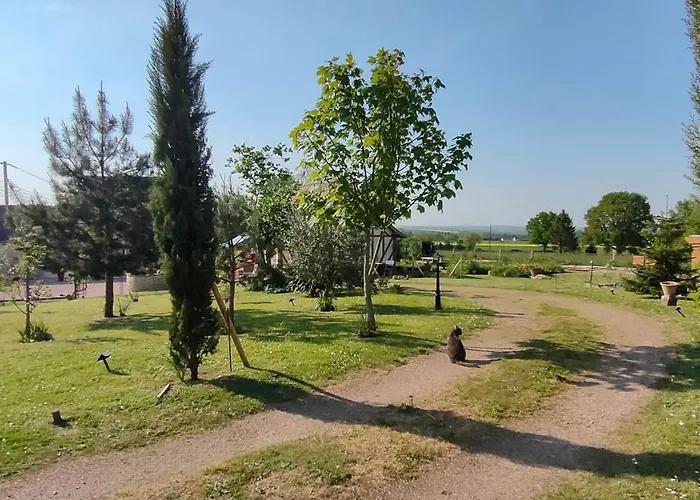 Les Lys Jolie Parentale Privative Deux Adultes Avec Sdd Maison d'hôtes Pertheville-Ners