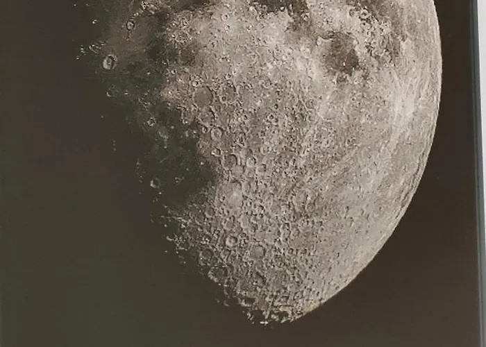 Les Lys Jolie Parentale Privative Deux Adultes Avec Sdd 3*